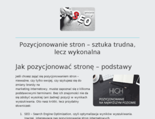 pozycjonowanie-stron-w-internecie.pl screenshot