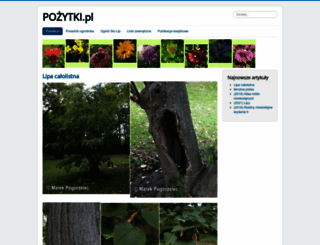pozytki.pl screenshot