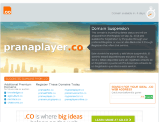 pranaplayer.co screenshot