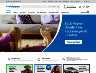 pratik-hayat.com screenshot