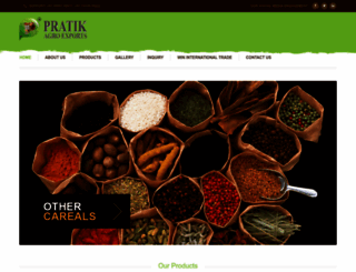 pratikagroexports.com screenshot