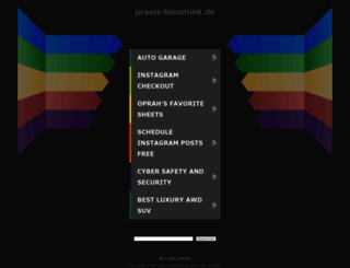 praxis-bleumink.de screenshot
