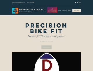 precisionbikefit.com screenshot