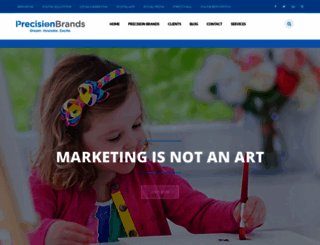 precisionbrandsny.com screenshot