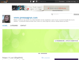 presssagrun.com screenshot