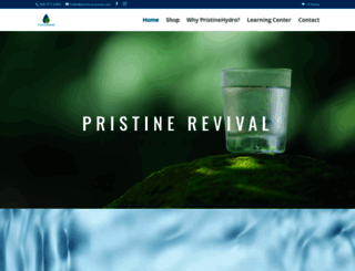 pristinerevival.com screenshot