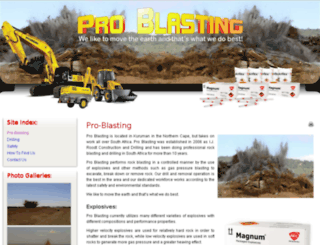 pro-blasting.co.za screenshot