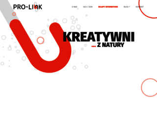 pro-link.pl screenshot
