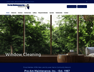 proamcleaning.com screenshot