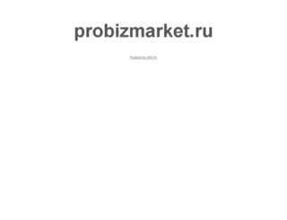 probizmarket.ru screenshot