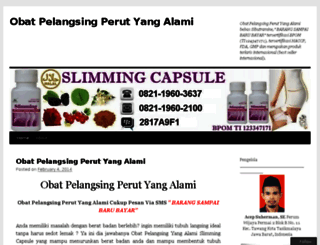 produkpelangsingmurah.wordpress.com screenshot