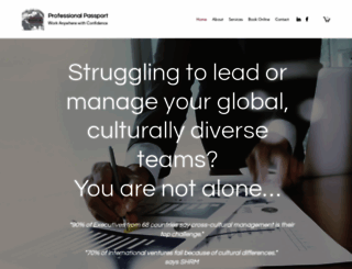 professional-passport.com screenshot