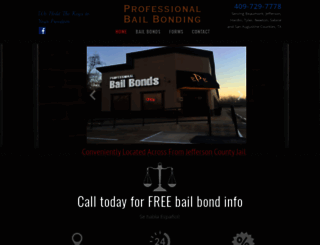 professionalbailbond.com screenshot