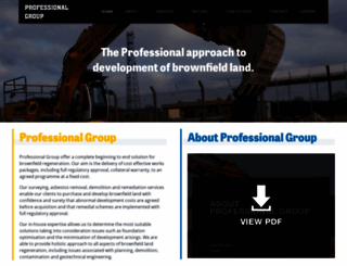 professionalgroup.uk screenshot