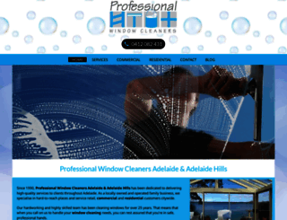 professionalwindowcleaners.com.au screenshot