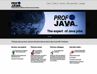 profjava.com screenshot