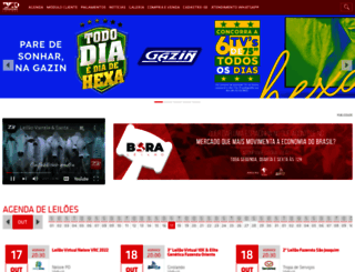 programaleiloes.com.br screenshot