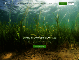projectseagrass.org screenshot