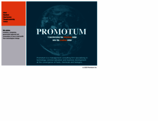 promotum.com screenshot