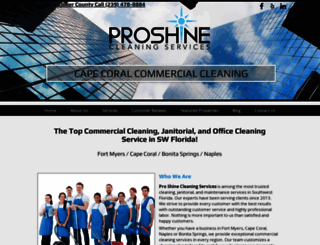 proshinecleaningservices.com screenshot