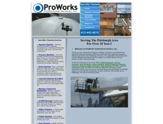 proworksclean.com screenshot