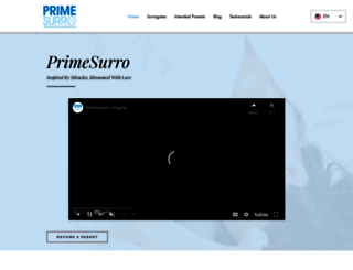psurro.com screenshot