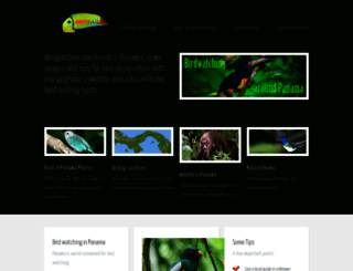 ptybirds.com screenshot