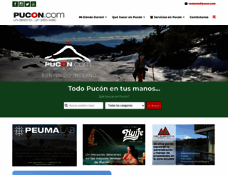 pucon.com screenshot