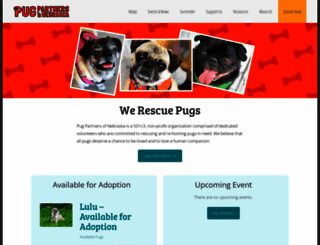 pugpartners.com screenshot