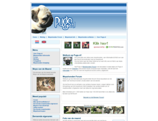 pugs.nl screenshot