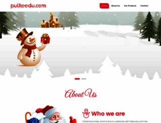 pulkoodu.com screenshot