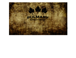 pulmary.com.ar screenshot