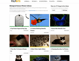 pulpbits.net screenshot