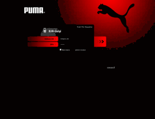 pumabayi.com screenshot