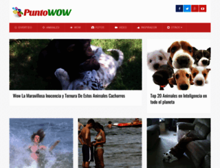 puntowow.com screenshot