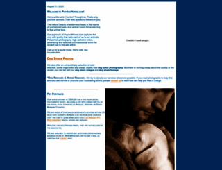 pupandhorse.com screenshot