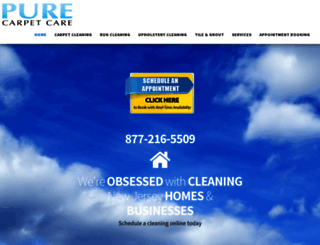 purecarpetcare.com screenshot