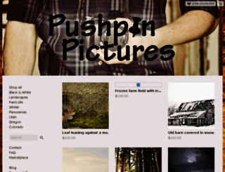 pushpinpictures.storenvy.com screenshot