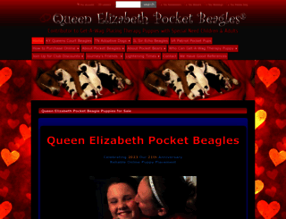 queenelizabethpocketbeagles.com screenshot