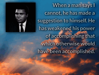 quotenova.net screenshot