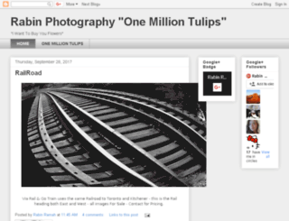 rabinphotography.com screenshot