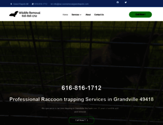 raccoonremovalgrandrapids.com screenshot