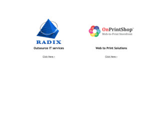 radixweb.co.in screenshot