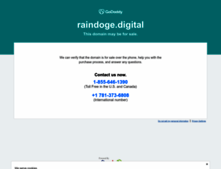 raindoge.digital screenshot