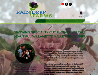 raindropfarms.net screenshot