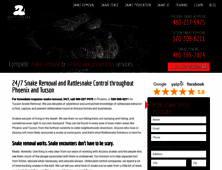 rattlesnakesolutions.com screenshot