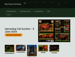 raueasy.com screenshot