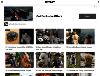 raveby.com screenshot