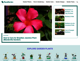 rayagarden.com screenshot