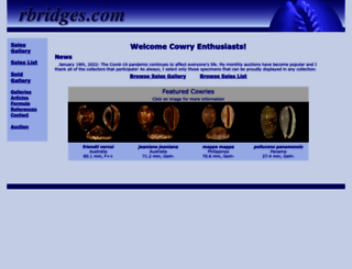 rbridges.com screenshot
